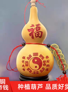 精品开口天然葫芦挂件五帝钱客厅床头门对门厕所厨房横梁卧室摆件