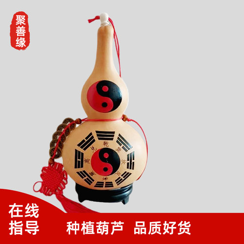 精品天然开口葫芦挂件五帝钱带
