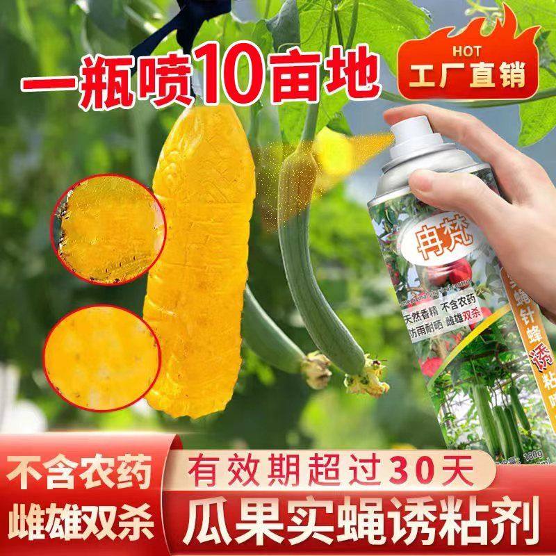 瓜果实蝇针蜂诱粘剂菜园菜地瓜果蝇引诱剂昆虫物理诱捕剂杀虫神器