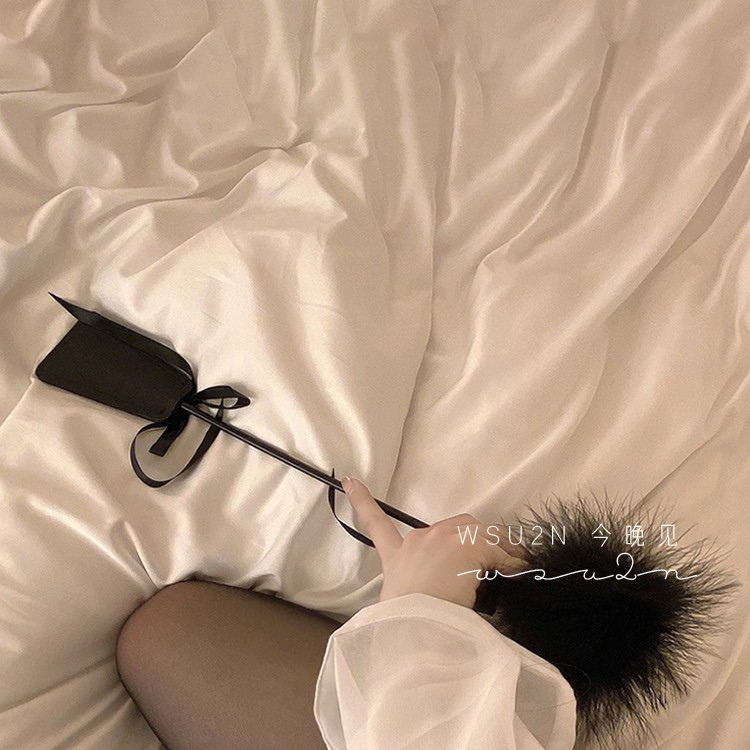 WSU2N 羽毛小拍子情调拍照逗猫道具超长羽毛棒