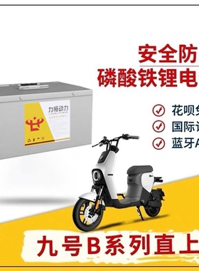 9号电动车B30C锂电池大容量48V锂电磷酸铁锂B35B40B65B80B90B110P