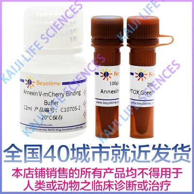 碧云天Annexin V-mCherry/SYTOX Green细胞凋亡检测试剂盒C1070S