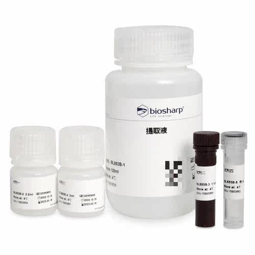 乳酸脱氢酶(LDH)活性检测试剂盒