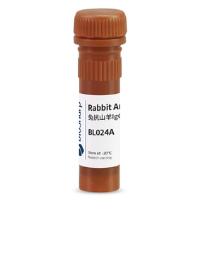 白鲨 Biosharp BL024A AP标记兔抗山羊IgG