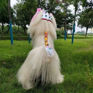 网红小白狮双人白色全牛毛舞狮全套道具舞龙舞狮北京狮子笑脸舞子