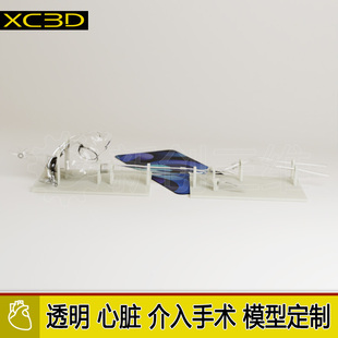 可拆卸透明血栓抽吸导管心脏肺动脉模型下肢静脉血管模型器械介入
