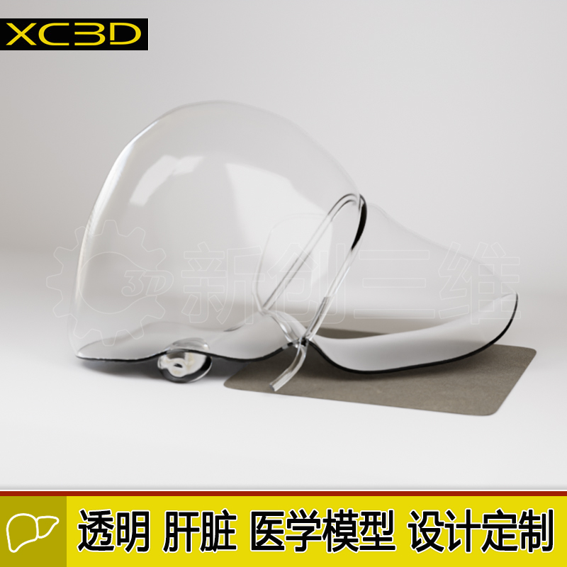 肝脏定制医疗模型3D打印透明树脂水晶心脏手术模型胃医学教学教具