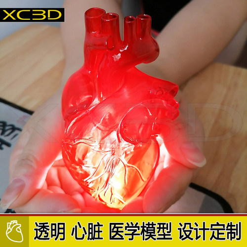 3D打印透明心脏切面模型教具定制