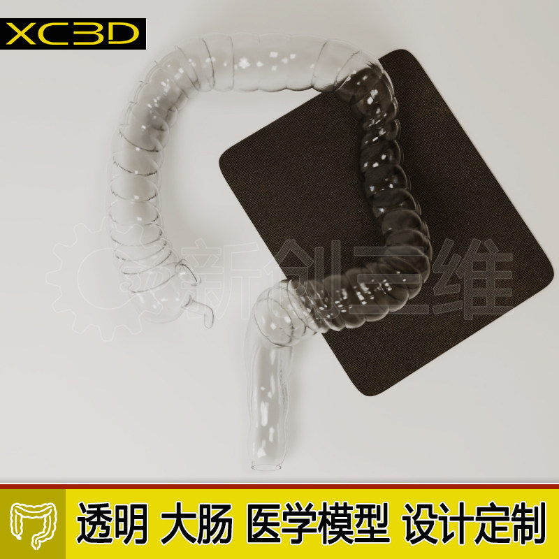 3D打印透明仿真结肠镜训练模型