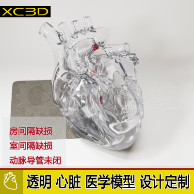心脏病房室间隔缺损动脉导管未闭