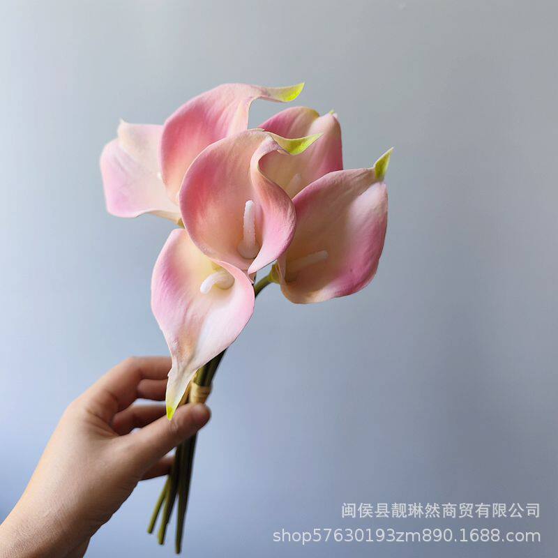 仿真花PU马蹄莲家居样