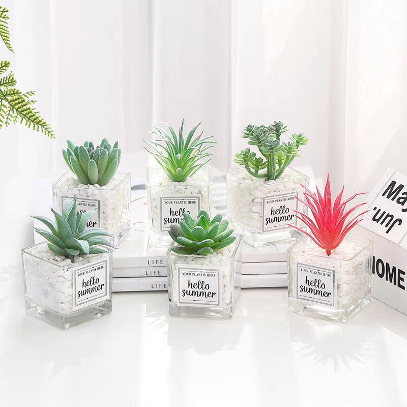 北欧多肉仙人掌办公室桌面小摆件宿舍盆栽绿植假花装饰品