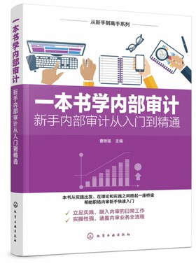 一本书学内部审计 新手内部审计从入门到精通 从新手到高手系列 解析审计思维和方法 审计方案 实用技能 帮助职场内审新手快