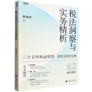税法洞察与实务精析