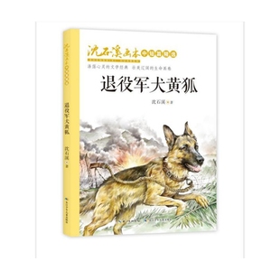 退役军犬黄狐/沈石溪画本