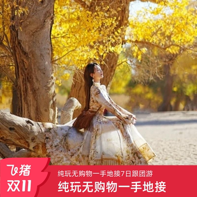额济纳旗旅游青海西宁张掖七彩丹霞嘉峪关居延海金塔胡杨林跟团游