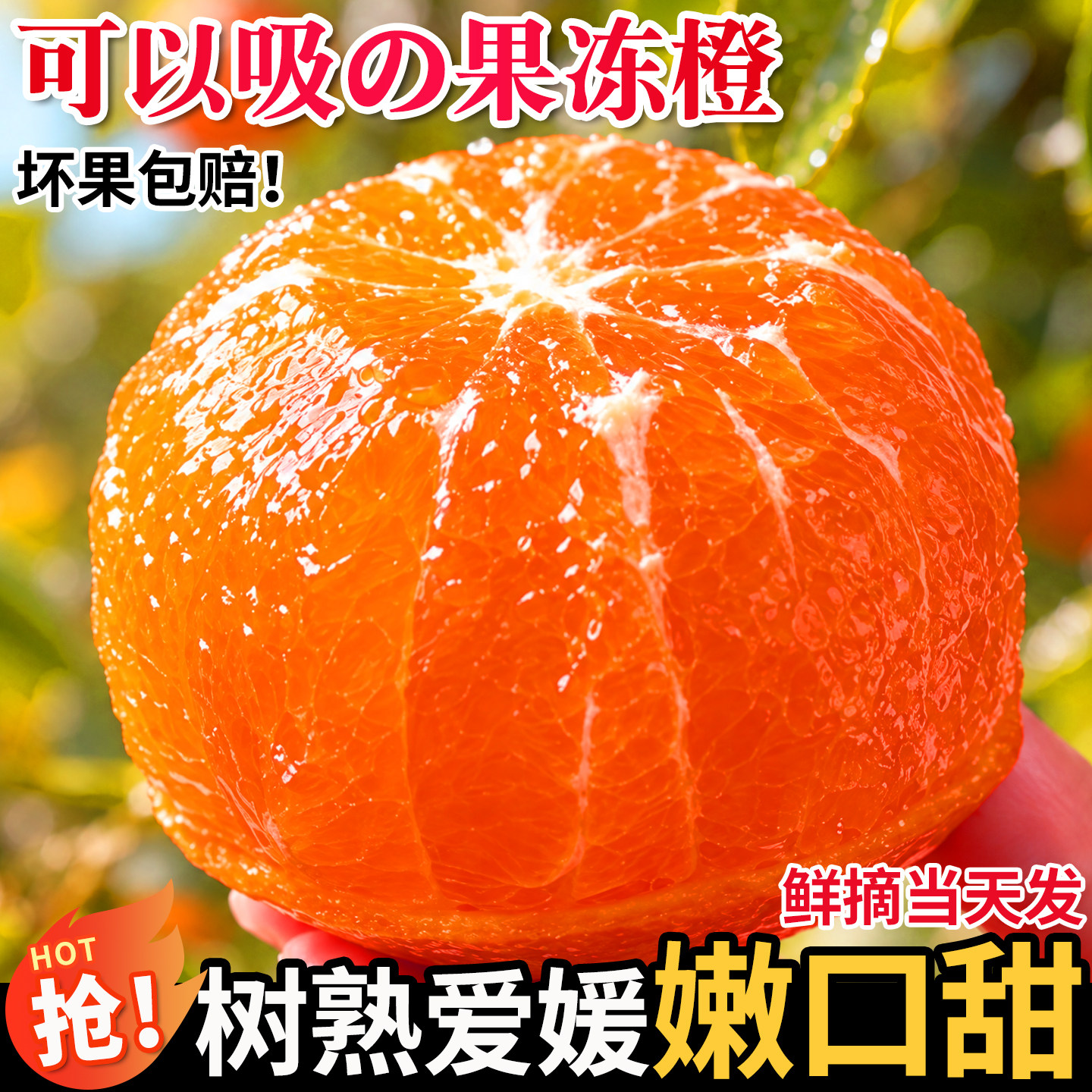 果怡芬正宗四川爱媛38号果冻橙
