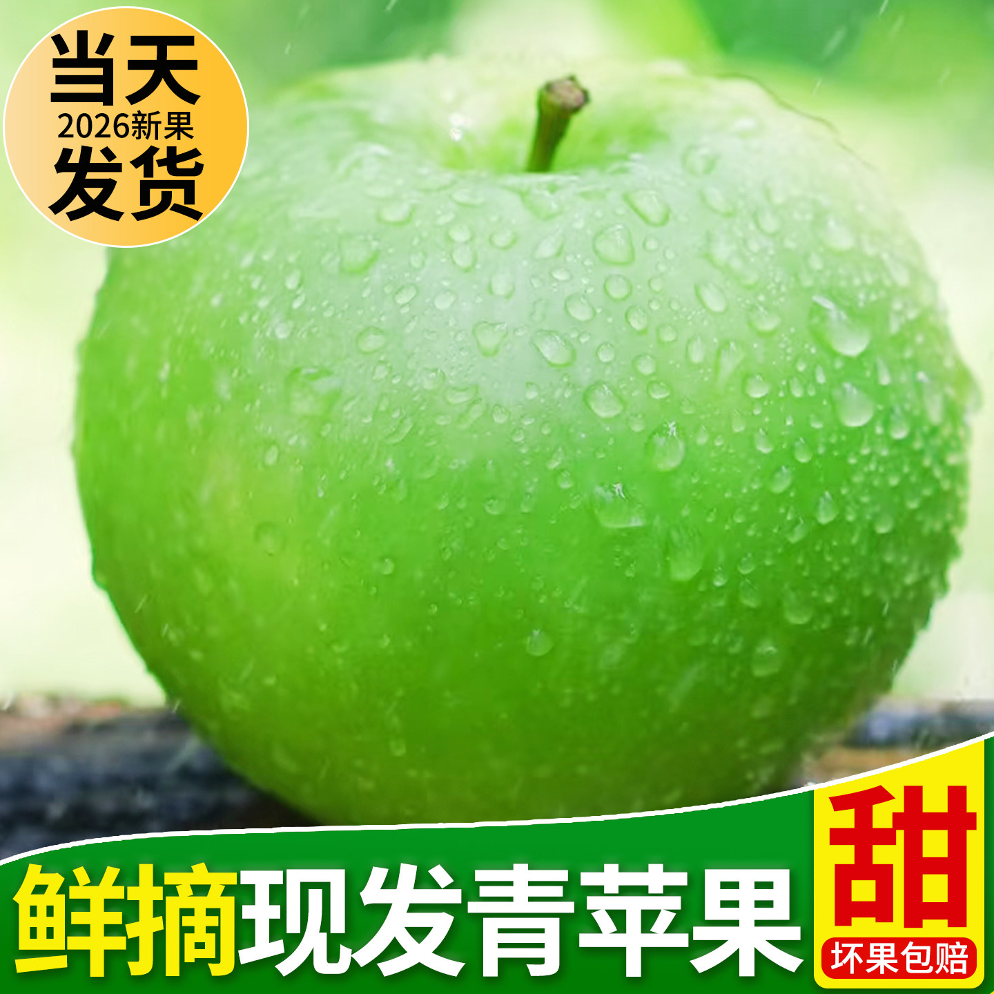 陕西青苹果新鲜当季现摘脆甜酸