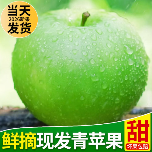 陕西青苹果新鲜当季现摘脆甜酸
