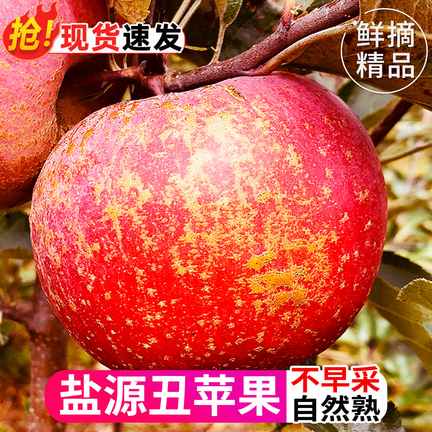 大凉山丑苹果冰糖心脆甜多汁