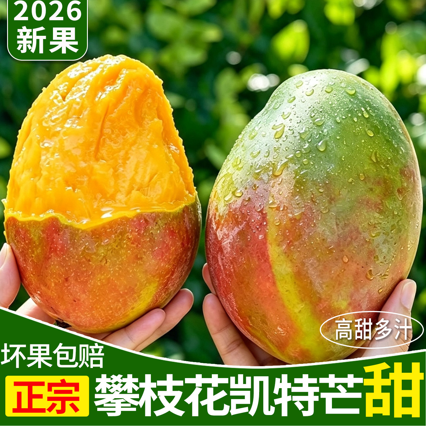 凯特芒果整箱应季包邮四川攀枝花
