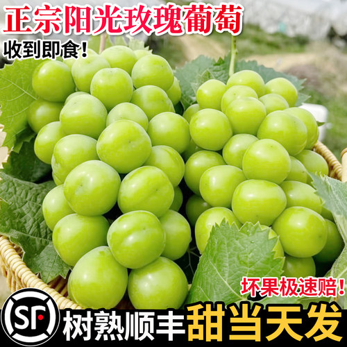 顺丰阳光玫瑰葡萄当季新鲜水果甜
