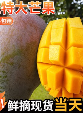 攀枝花凯特芒新鲜水果9斤装大果