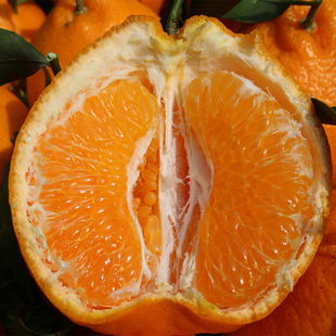 【萍姐专属】四川春见耙耙柑粑粑柑果味纯正现摘现发新鲜甜味足!