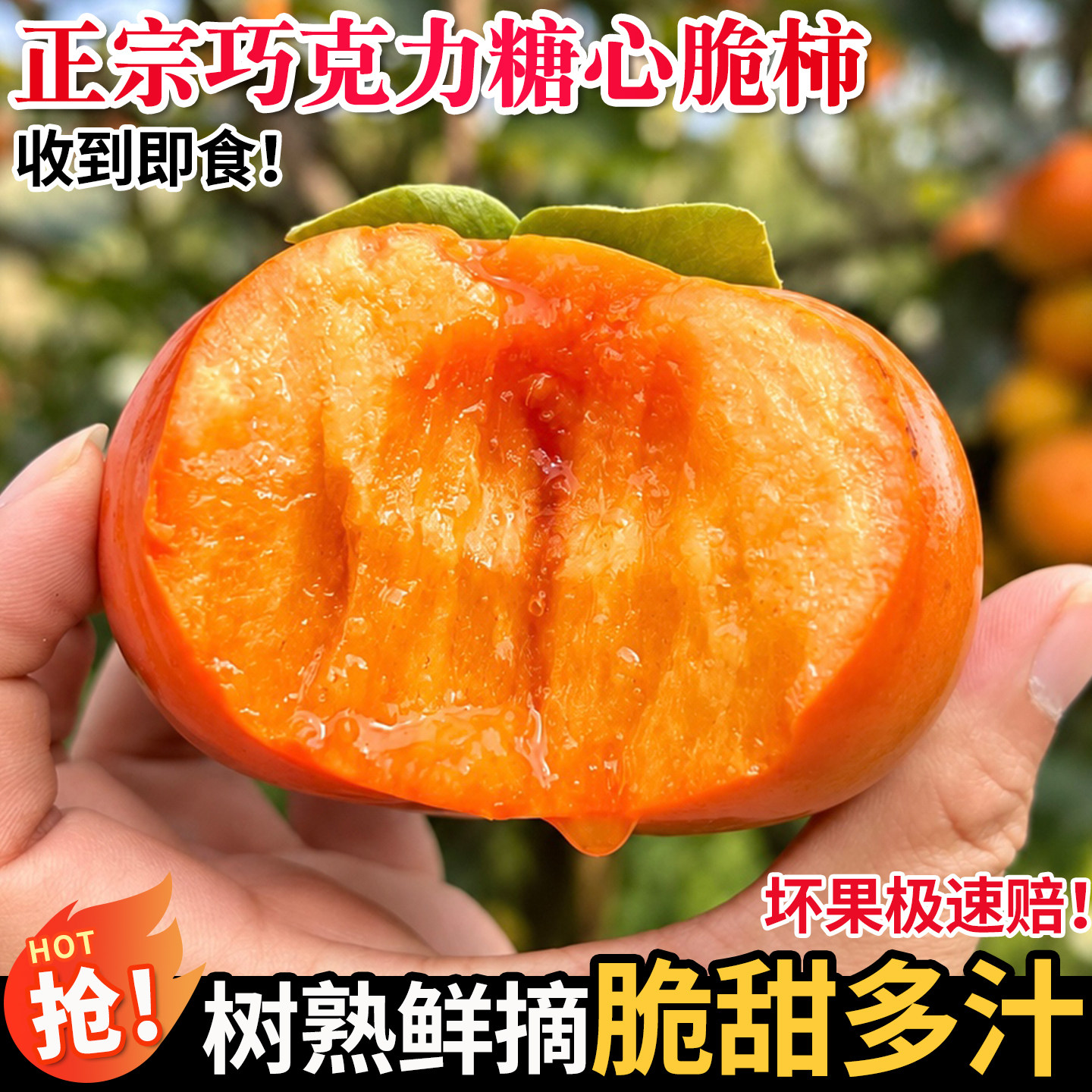 正宗巧克力脆柿新鲜水果当季整箱黄硬大果冰糖心黄甜硬脆火晶柿子