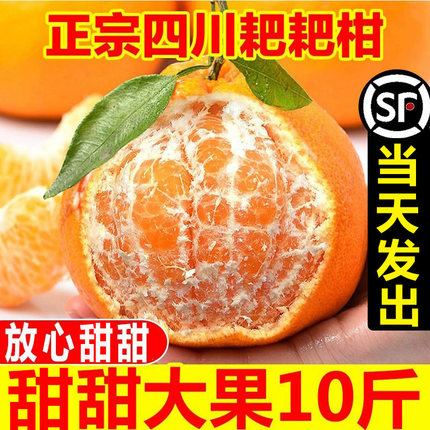 四川春见耙耙柑粑粑柑10斤橘子甜当季整箱杷杷新鲜水果丑柑桔年货