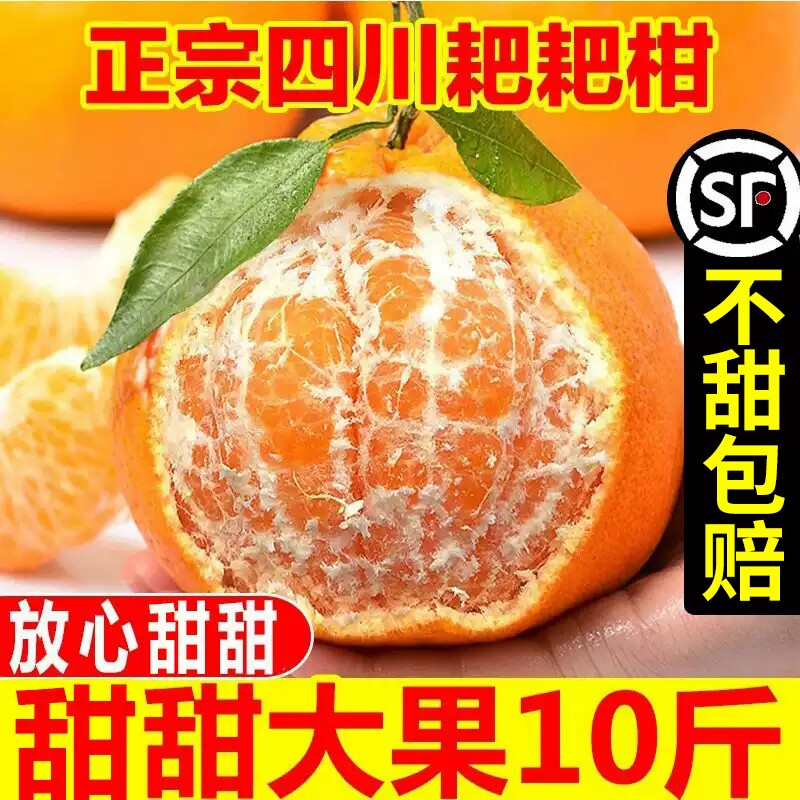 四川春见耙耙柑去年卖50w单单