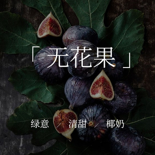 「无花果」香薰精油扩香石精油香薰蜡烛 车载香薰无火香薰 香薰机
