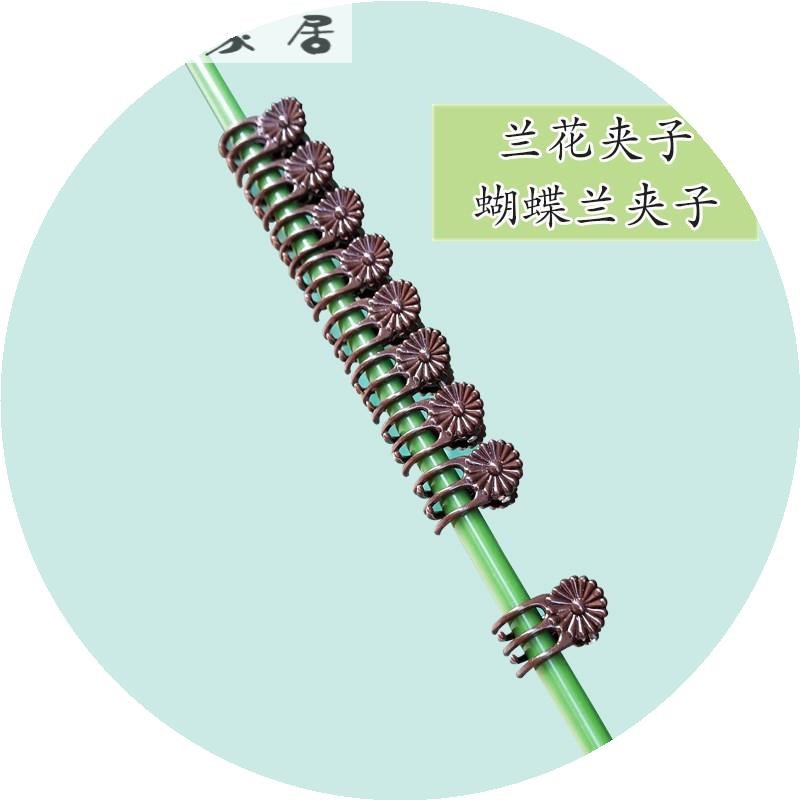 欧洲进口代爬藤卡子绑花迷你人工蝴蝶兰嫁接花卉展示耐用专用兰花在类目 鲜花速递/花卉仿真/绿植园艺, 园艺用品, 其它园艺用品中 - 来自Buy2taobao.com提供专业的淘宝代购服务