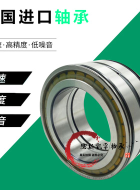 INA圆柱滚子轴承 SL 045004 045005 045006 045007 045008 PP 2NR