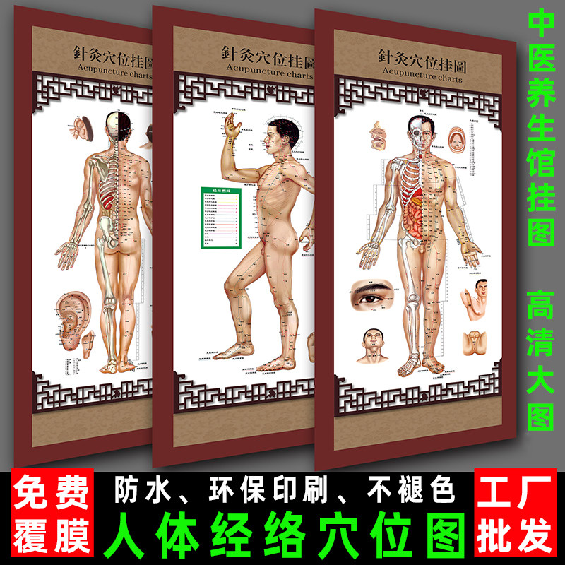 中医养生人体经络穴位图病症图解挂图装饰画按摩针灸艾灸拔罐海报