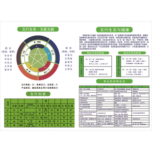 中医养生挂画五行相克五脏六腑宣传海报金木水火土五行知识科普画