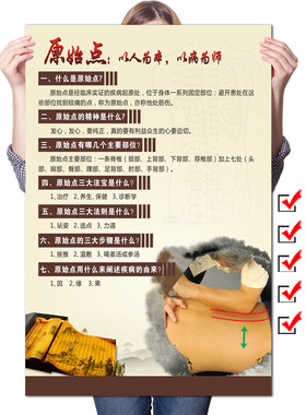 什么是原始点  原始点主要部位医学挂图原始点涵盖范围示意图海报