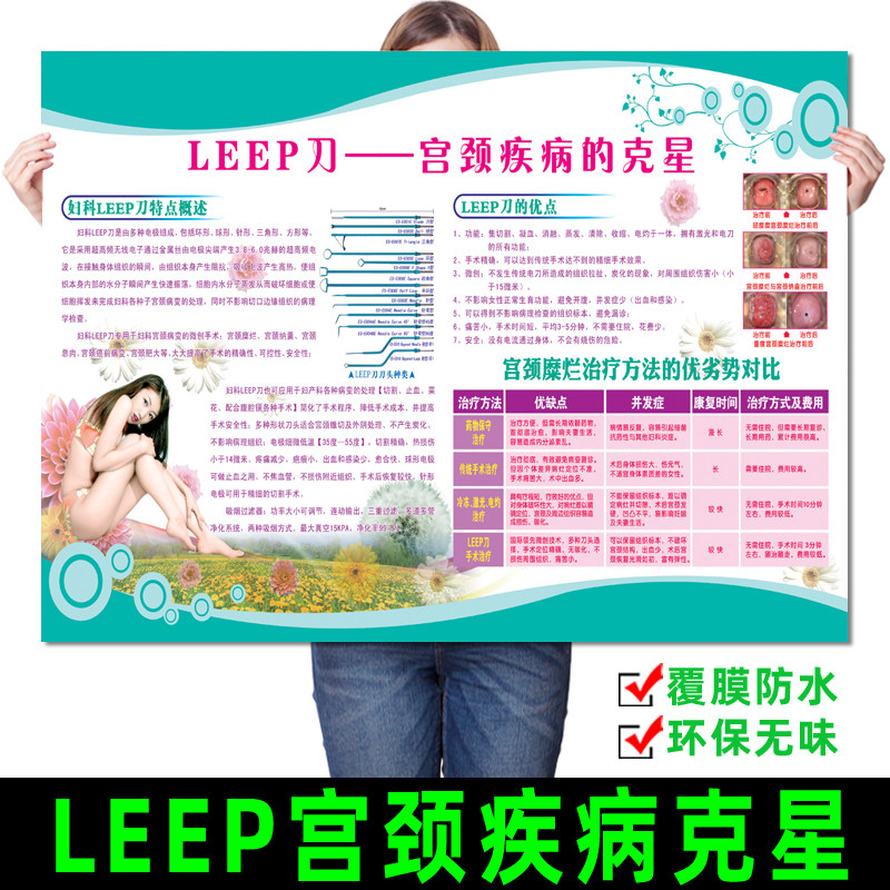 医院妇科LEEP刀宫颈疾病炎症疾病预防海报示意图女性生殖器解剖图
