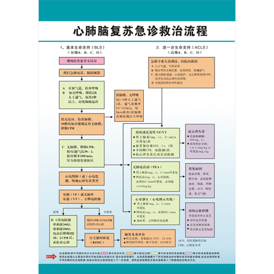 心肺脑复苏急诊救治流程墙贴纸医院急诊室急救流程挂图海报装饰画