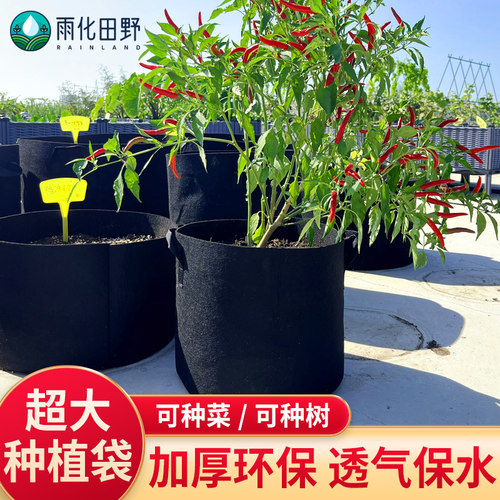 无纺布加厚环保材质保水透气