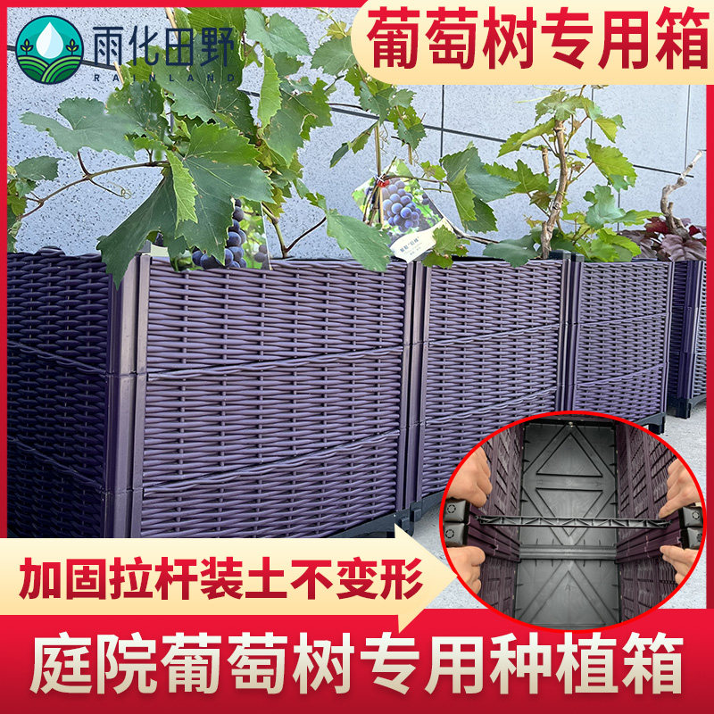 葡萄树特深种植箱家庭长s方形塑料花盆种菜盆果树竹子花槽花箱户