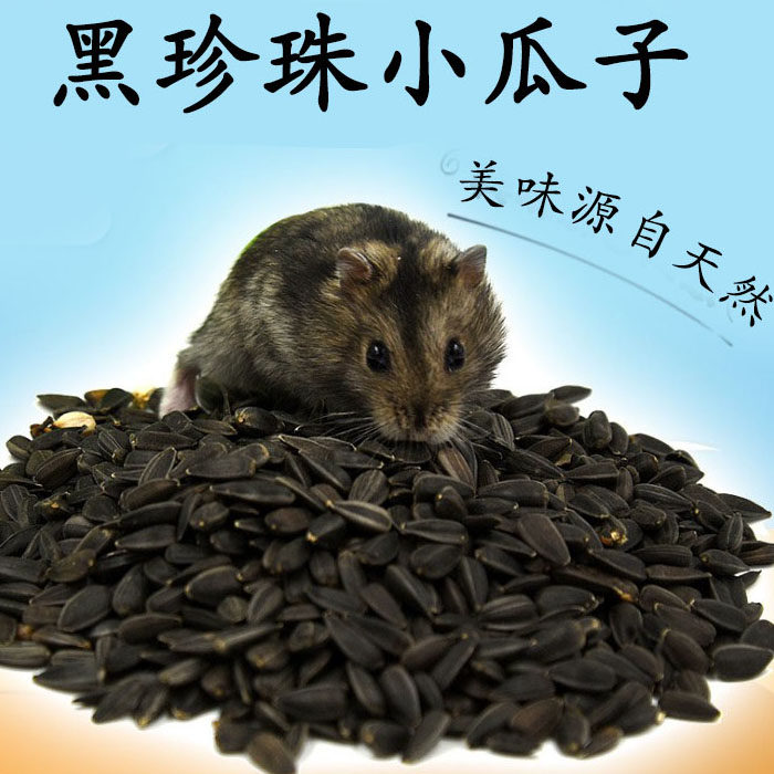 仓鼠粮食用品小黑瓜子磨牙棒吃的小食物主粮小松鼠鼠粮金丝熊零食