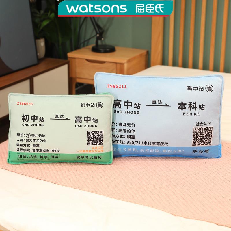 中考励志礼物仿真车票抱枕仪式感创意送给中考生的礼物加油祝福枕