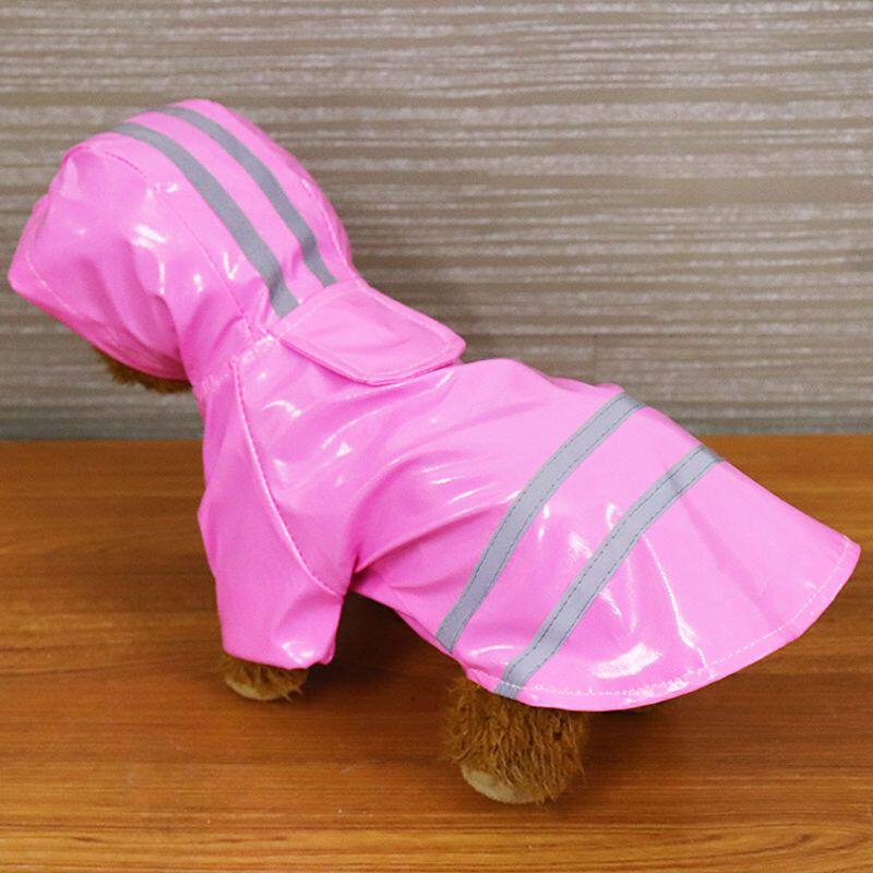 宠物用品猫咪贵宾法斗泰