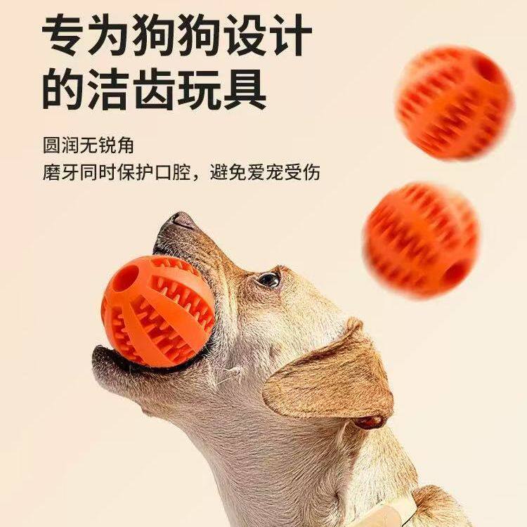 金毛狗狗耐咬玩具磨牙洁