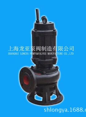 供应上海产80WQ40-15-4自动启停污泥潜水泵 300QWP小型污水泵