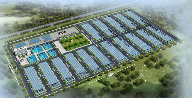 温室大棚.蔬菜大棚.农业生态大棚设计效果图 有机蔬菜现代农业