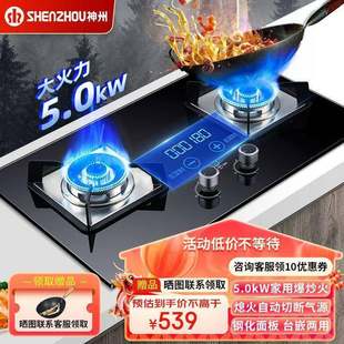 神州燃气灶煤气灶双灶天然气液化气家用台式嵌入式炉具猛火煤气炉