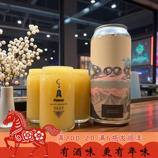 老K美国空运TEST本末费登斯合酿高分尖货三倍浑浊ipa精酿啤酒