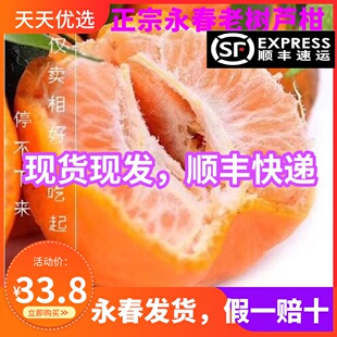 顺丰包邮正宗福建永春芦柑椪柑特大果孕妇水果新鲜应季桔子礼盒装